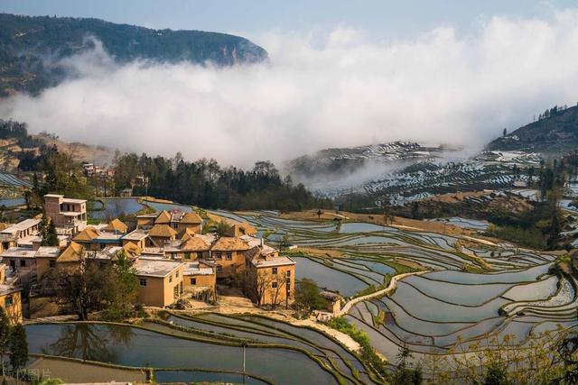 12月居然還有花海，解鎖7個雲南冬天最值得去的地方插图5