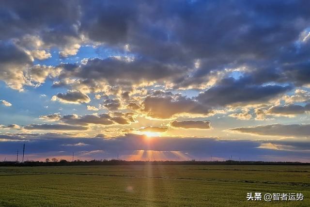 雙子座：你非平庸之人，雖暫時潛藏，但年後必龍騰飛躍，一舉千裡插图1