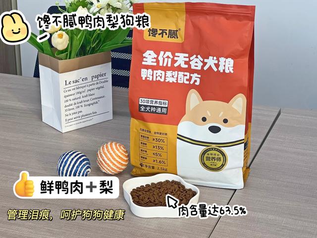 養比熊的人怎麼這麼多？它的“優點”可不少！插图9