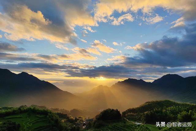 白羊座：午夜過後有喜事降臨, 喜鵲帶喜天降, 祝你所有願望十倍靈驗缩略图