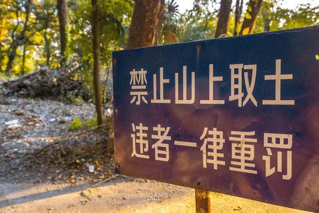 武漢的“洪山菜薹”背景這麼強大，難怪普通人吃不到，傳聞很玄乎插图11