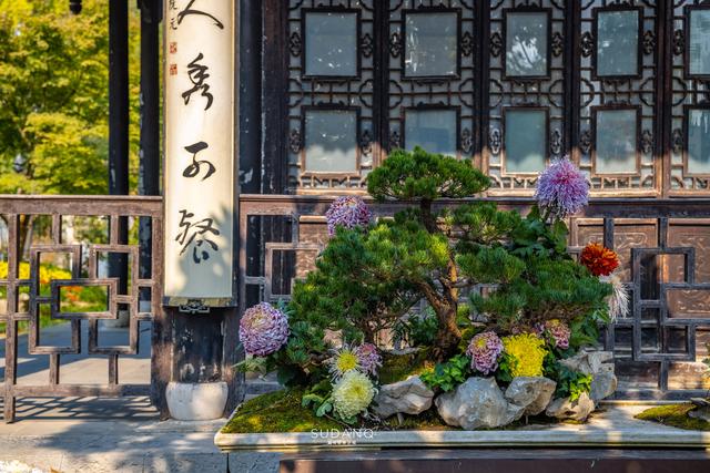 吃淮揚菜，還得去揚州！“汪曾祺傢宴”就在世界美食之都插图2