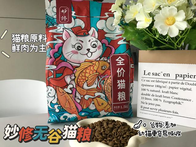 貓咪在“忍痛”的幾個征兆，鏟屎官必須要熟知！插图6