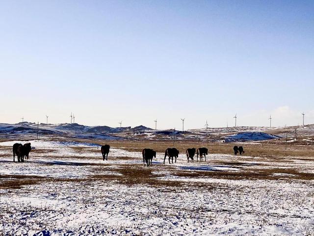 別隻知道去哈爾濱瞭，這8個小眾冰雪秘境也很驚艷插图1