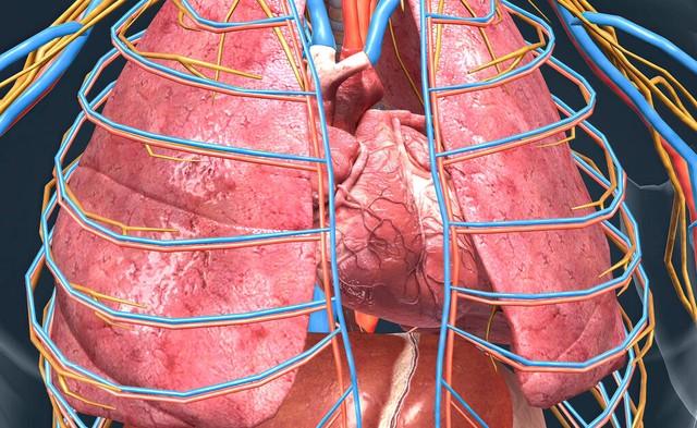 肺結節不能吃“牛肉”？醫生：若想養肺，這2種肉，盡量少吃插图2