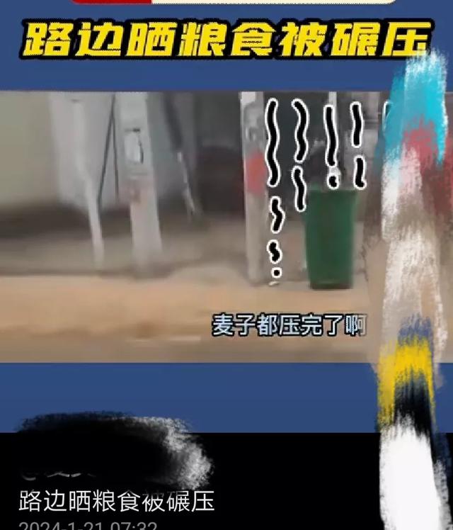 馬路上曬糧食被大車碾壓，曬糧人捶胸頓足！這事你怎麼看？插图2