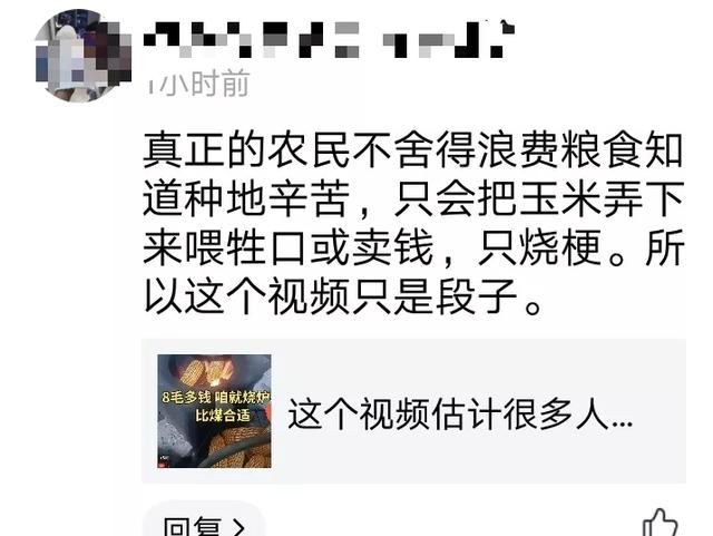 燒玉米取暖，隻不過是資本圈地的一個手段，卻被無數人追捧，可悲插图3