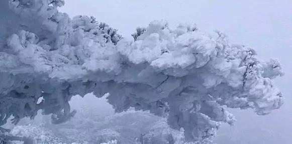 湖北暴雪，有人已滯留高速三天，這時再看以前十元泡面還嫌貴麼？插图2