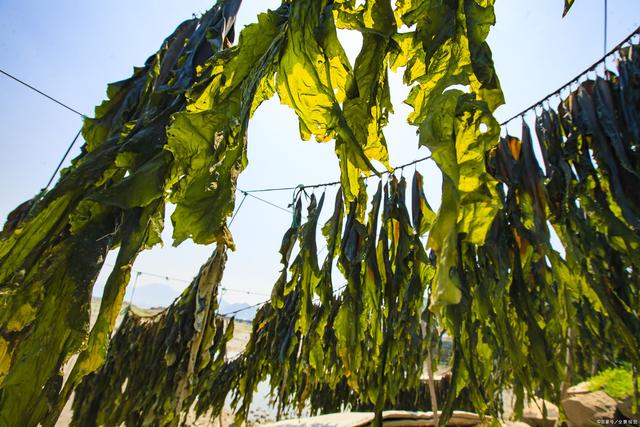 血脂高不能吃茼蒿？醫生建議：老年人得瞭高血脂，遠離這4樣素食插图4