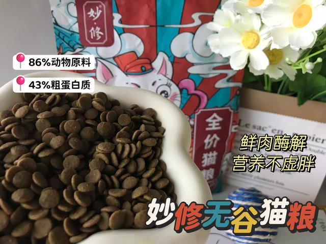 貓咪喜歡“挨著”主人睡，原來是因為這些插图7