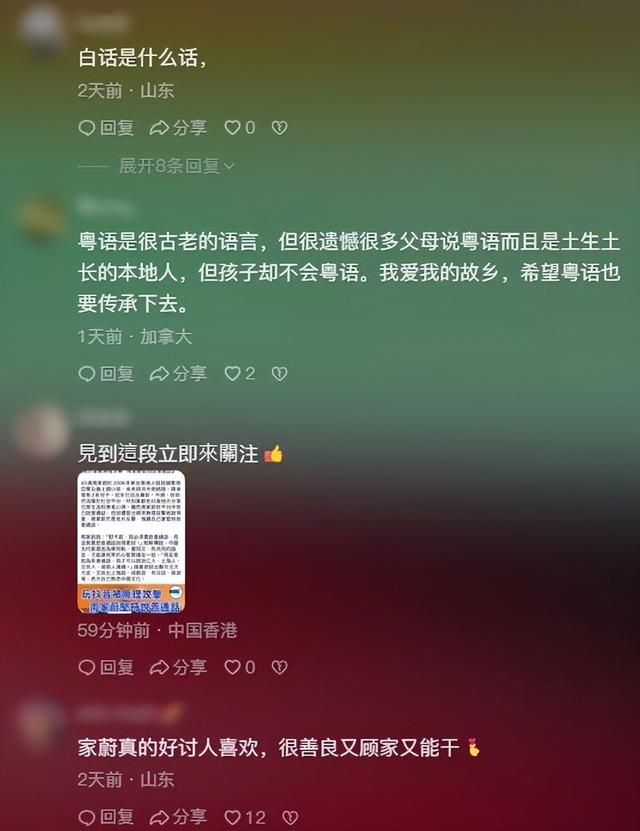 洪金寶兒媳講普通話被噴！以5種方言反擊：我背靠祖國、面向國際插图6