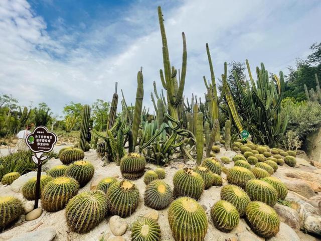 新晉升的21傢國傢5A級旅遊景區，哪些值得去？你最想去哪個？插图9