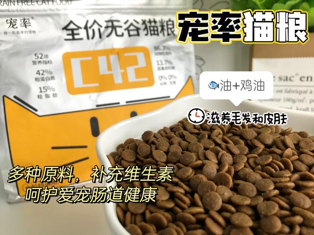 短暫貓生，一直被關在“室內圈養”，對貓來說意味什麼？插图9