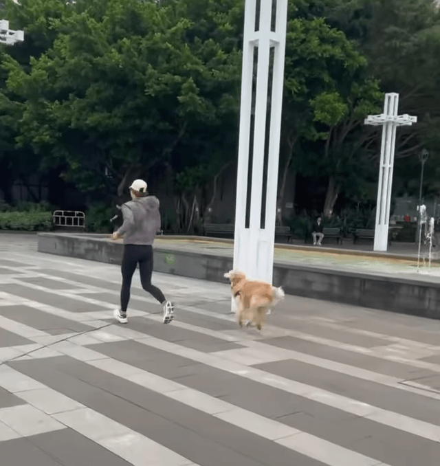 香港女星挺9個月孕肚跑步！肚大如籮牽愛犬飛馳，被批評不顧安危插图5