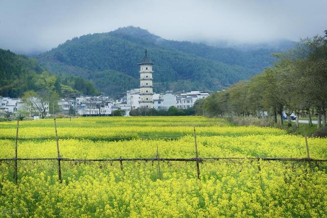 三月去哪兒玩？6個目的地，賞春日繁花，看世外田園插图3