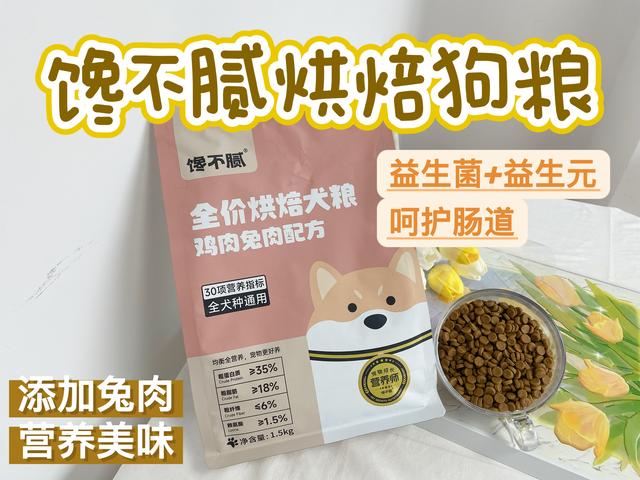 盤點“巴哥犬”7大優點，難怪養過的人，都真香瞭！插图8