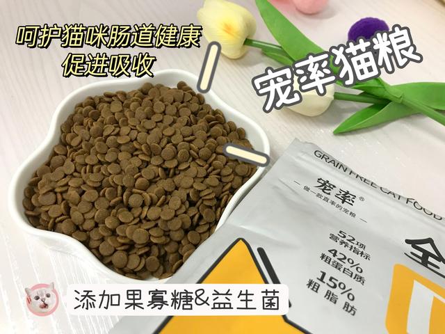 這幾種表現，說明貓咪在“想你”，快看看你傢貓有沒有！插图8