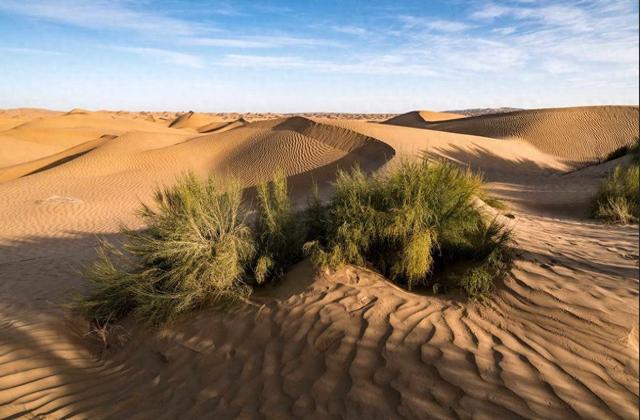 我國最大沙漠，千年整體南移100公裡！是大西北的危機還是轉機？缩略图