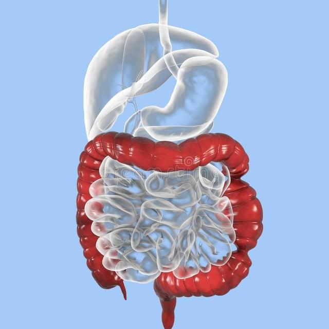 腹瀉便秘交替？您可能得瞭腸易激綜合征！與腸道感染或壓力大有關插图1