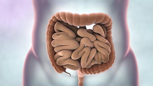 人老腸先衰，出現腸道過早衰老的4個表現，提示要盡早養護腸胃瞭插图1