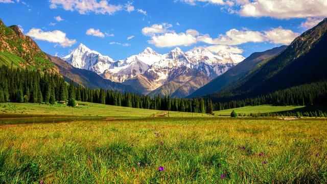 國內夏季美景的焦點，新疆伊犁，塞外江南，值得跨越千裡奔赴而來插图1