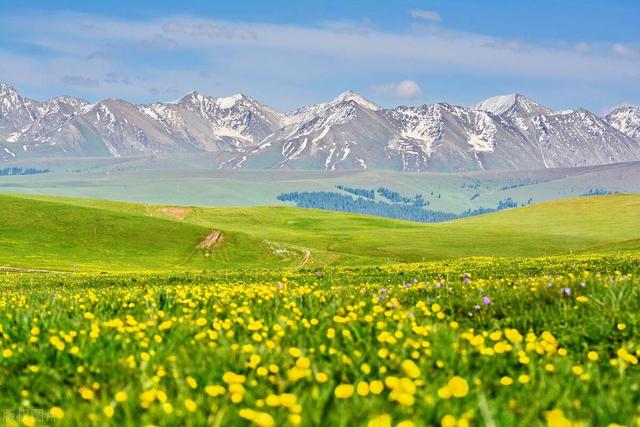 國內夏季美景的焦點，新疆伊犁，塞外江南，值得跨越千裡奔赴而來插图3