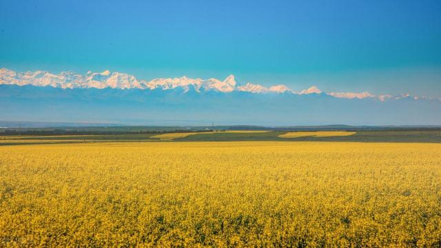國內夏季美景的焦點，新疆伊犁，塞外江南，值得跨越千裡奔赴而來插图6