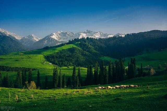 國內夏季美景的焦點，新疆伊犁，塞外江南，值得跨越千裡奔赴而來插图9