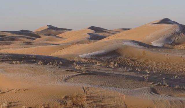 毛烏素沙漠將從中國地圖抹去，但它真消失瞭嗎？隻是暫時被束縛住插图3