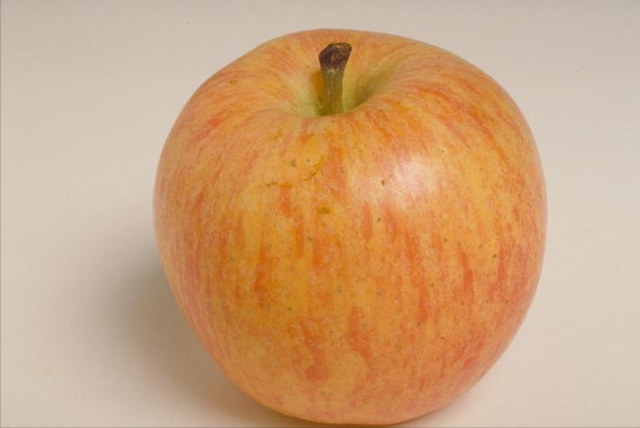 醫生研究：每天吃一個蘋果，胃病和肺癌的幾率會減少？為啥插图2