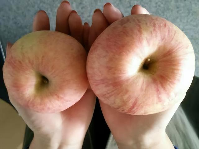 醫生研究：每天吃一個蘋果，胃病和肺癌的幾率會減少？為啥插图4