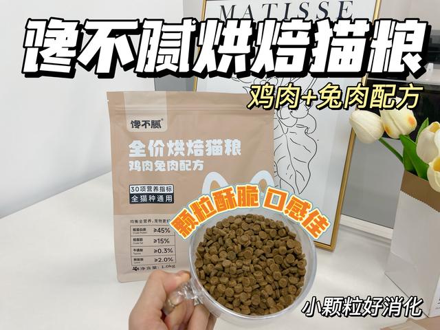 貓咪拿頭“拱你”，不是在打擾你，而是暗示這些事！插图7